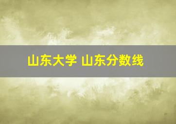 山东大学 山东分数线